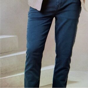 Banana Republic Men's Deep Blue Chinos